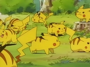 EP039 Manada de Pikachu (2).png