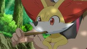 EP820 Fennekin masticando una rama.png