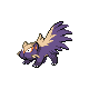 Stunky DP