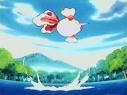 EP112 Goldeen de Misty despues de ganar una batalla.jpg