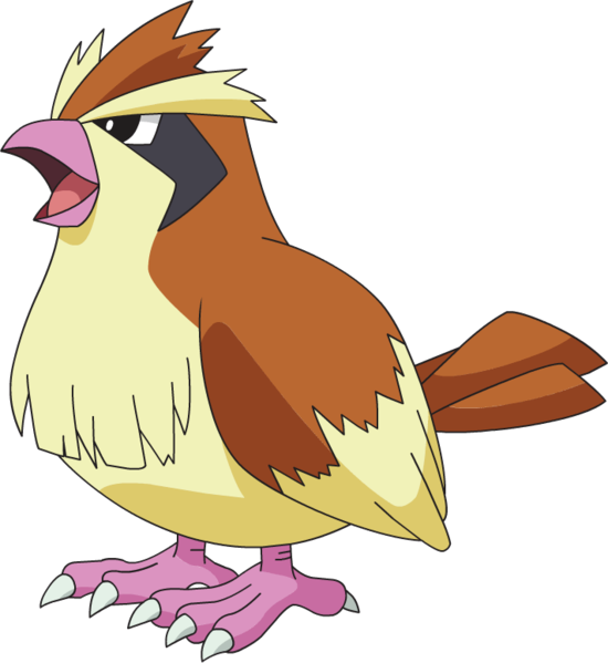 pidgey huntr pidgey huntr