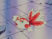 EP002 Goldeen de Misty.png
