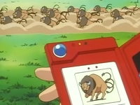 EP033 Manada de Tauros (2).png
