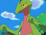 EP317 Grovyle.jpg