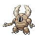 Pinsir DP