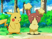 EP478 Pikachu con Buneary.png
