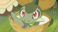 EP669 Regalandole a Iris un Axew
