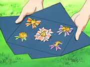 EP451 Listones de Harley en Kanto