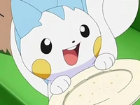 http://vignette2.wikia.nocookie.net/es.pokemon/images/9/96/EP563_Pachirisu_quiere_repetir.png/revision/