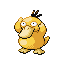 Psyduck