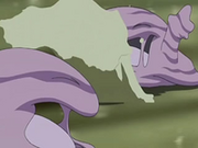 EP556 Muk jugando.png