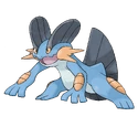 Swampert
