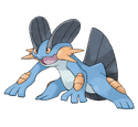 Swampert