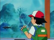 EP007 Peces reales.jpg