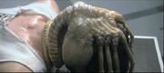 664px-Alien facehugger