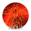 About (Icon)