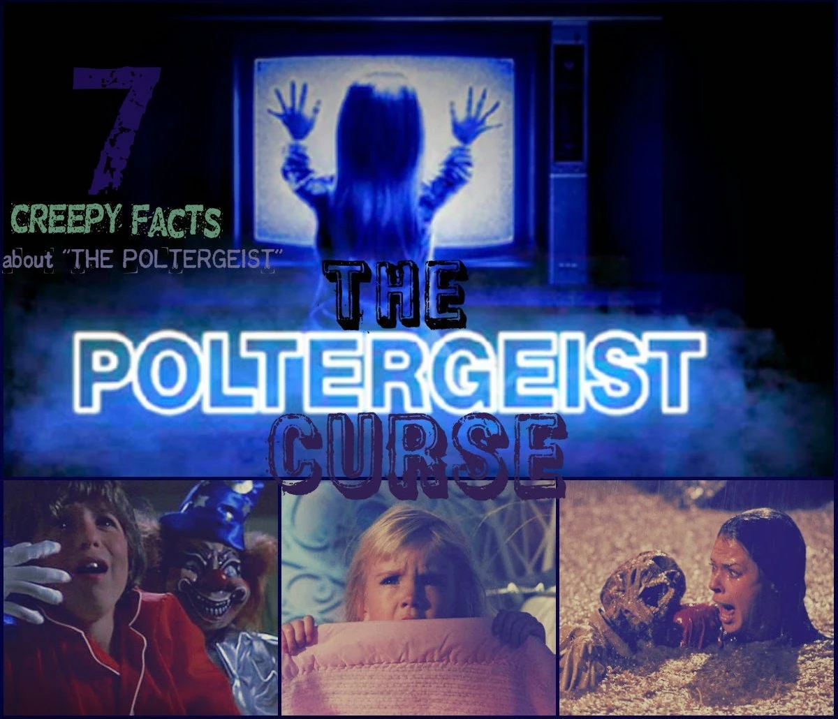 Poltergeist Trilogy Curse The Evil Wiki Fandom powered by Wikia