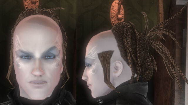File:Bald Dread.jpg