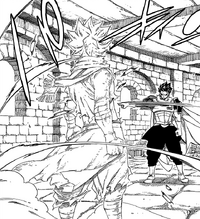 Silver freezes Natsu
