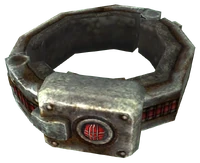 FNV SlaveCollar