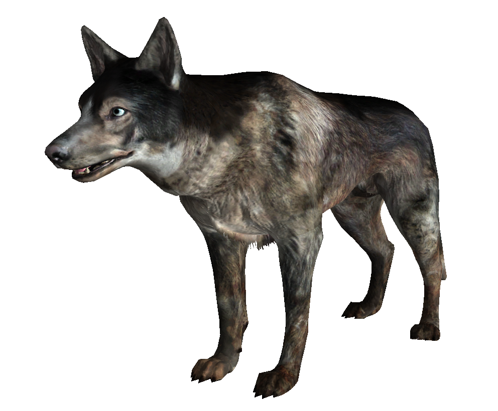 dogs wiki fallout wiki fandom powered by wikia dogs wiki fallout wiki fandom powered by wikia
