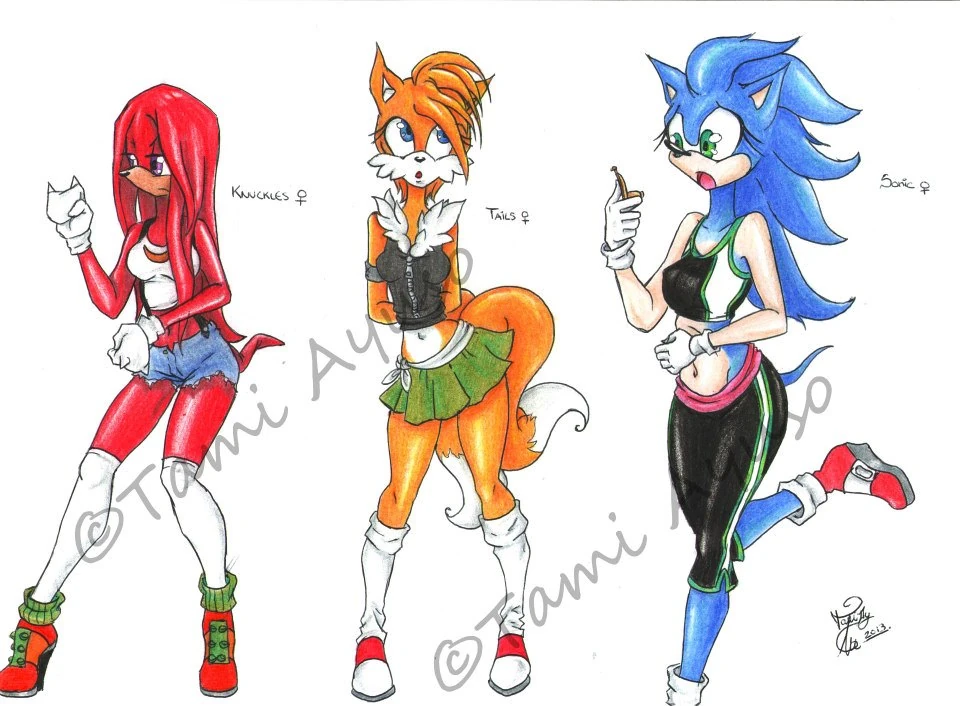 Team Sonic (Female Version) Fan Fiction FANDOM powered by Wikia