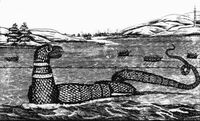 Gloucester sea serpent.jpg