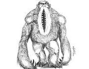 Mapinguari 250x195.jpg