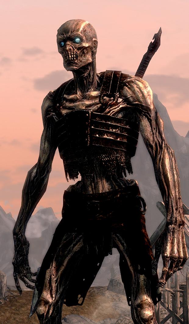 most popular race in skyrim