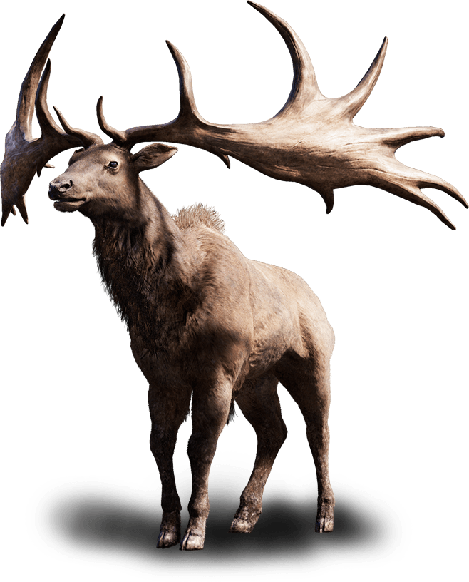 Tall Elk | Far Cry Wiki | FANDOM powered by Wikia