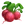 Radish