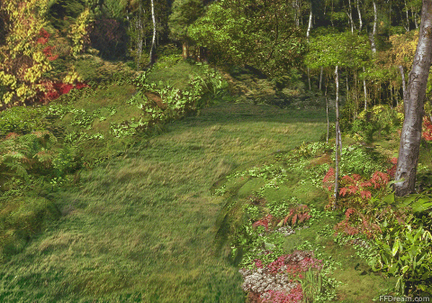 Chocobo_Forest_VIII_7.jpg