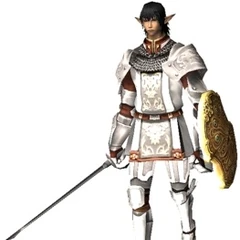 Paladin (job) | Final Fantasy Wiki | Fandom powered by Wikia