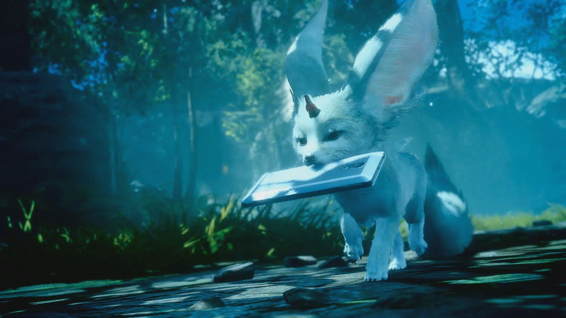 ffxv cat quest ffxv cat quest