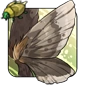 Fragile_Moth_Wings.png