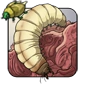 Maggot.png