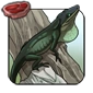 Shiny_Anole.png