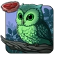 Wildwood_Owlet.png