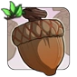 Blood_Acorn.png