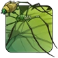 Harvestman.png