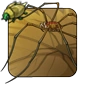 Daddy_Longlegs.png