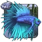 Crowntail_Surgling.png