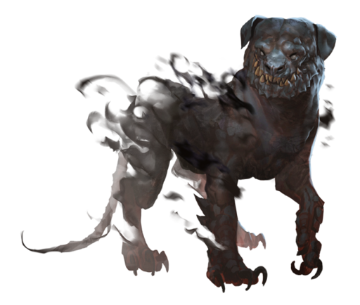 Mr Pets Dog Mr Pets Dog