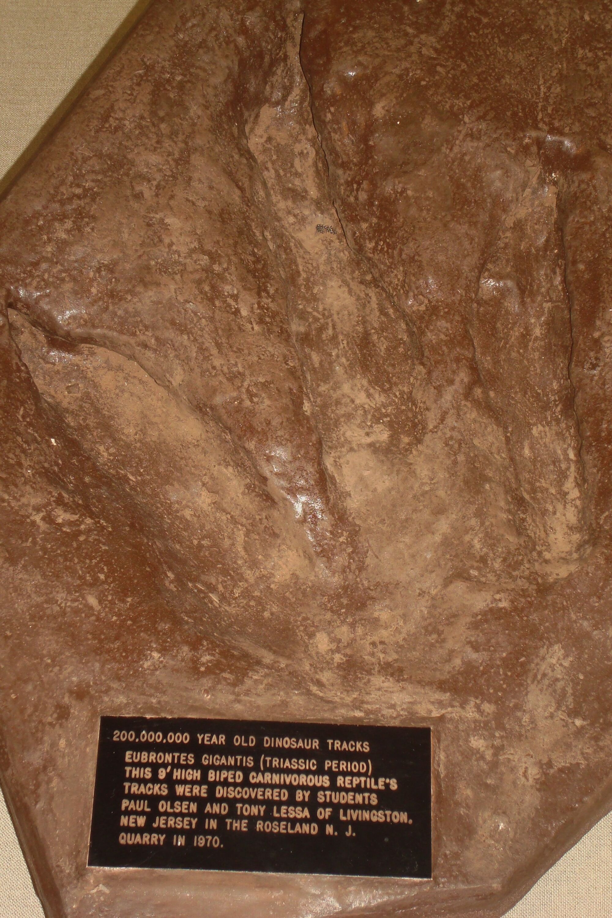 riker hill fossil site