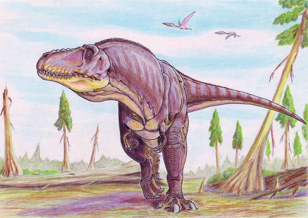 tarbosaurus fossil
