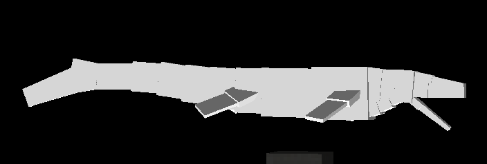 mosasaurus fossils and archeology