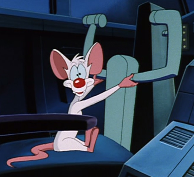 download pinky animaniacs