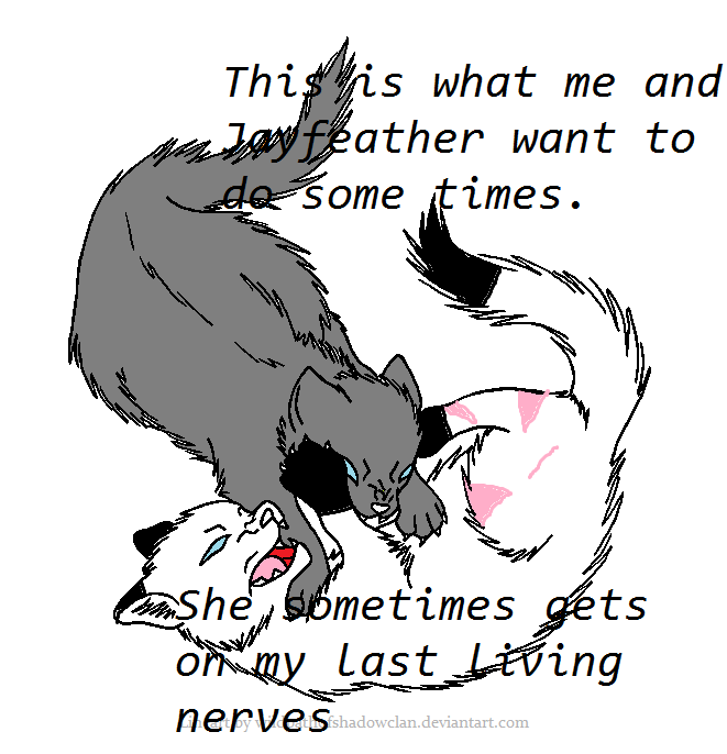 Image - Fighting cat base.png | Free Realms Warrior Cats Wiki | Fandom