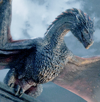 Game Of Thrones Drachen Sterben Game Of Thrones Drachen Sterben