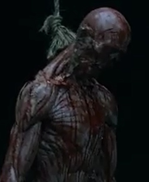 Flayed_Cerwyn.png